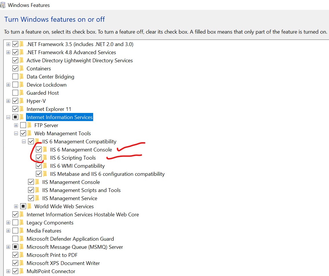 Enable Scripting in IIS