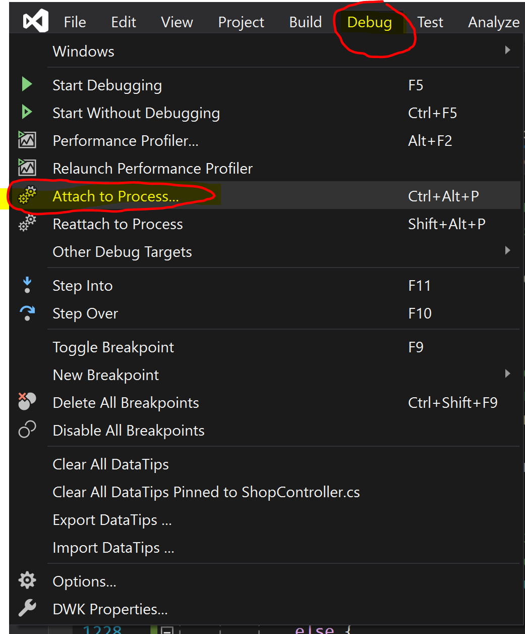 How to Attache to Process Application Running in IIS from Visual Studio 2019